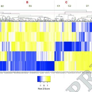 Heat Map Of The Differentially Expressed Proteins During Somatic