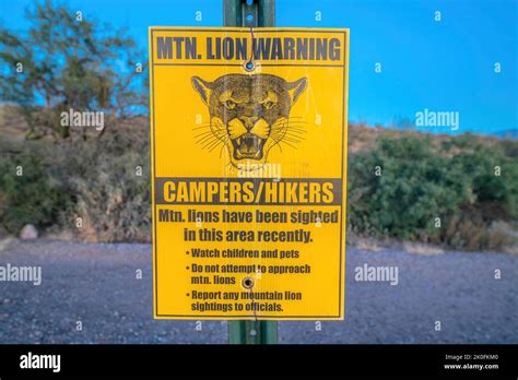 Mountain Lion Warning At Sabino Canyon State Park In Tucson Arizona