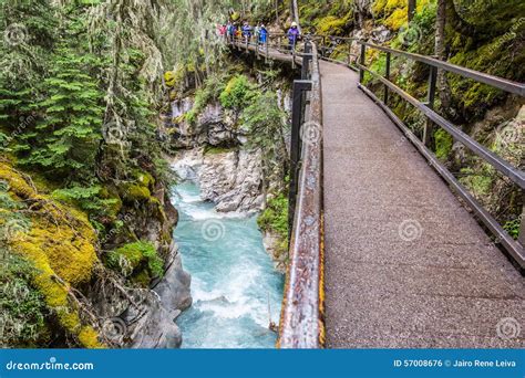 People Walking The Johnston Canyon Catwalk Trail Stock Photo Image Of