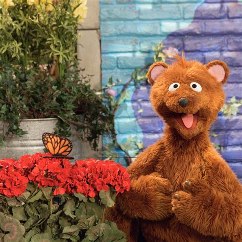 Sesame Street On Twitter Flowers Butterflies And Baby Bear Oh My