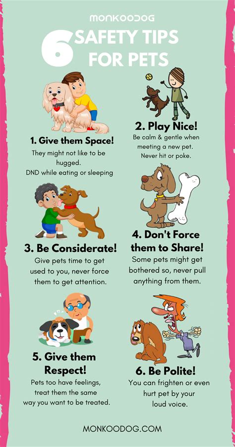 6 DOG SAFETY TIPS TO ALWAYS KEEP IN MIND. - Monkoodog