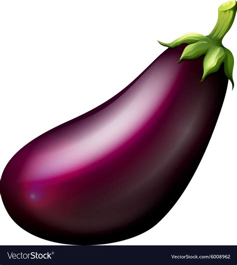 Purple Eggplant On White Royalty Free Vector Image