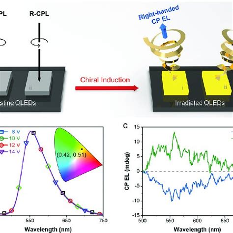 Chirality Induction With Different Types Of Circularly Polarized Light