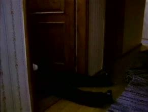 Liebesgrbee Aus Der Lederhose Sexexpress Aus Oberbayern Nude Scenes Aznude