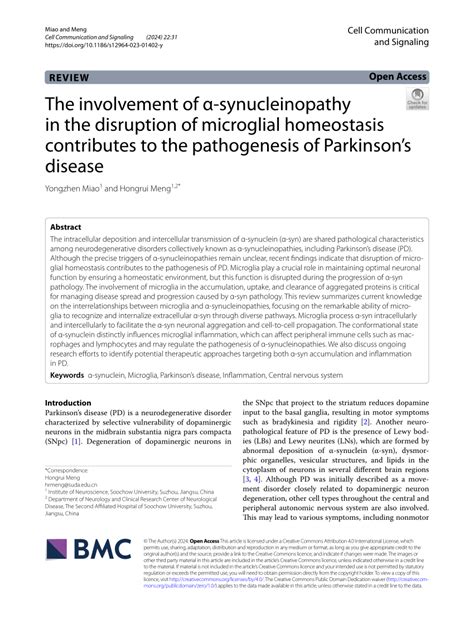 Pdf The Involvement Of α Synucleinopathy In The Disruption Of Microglial Homeostasis