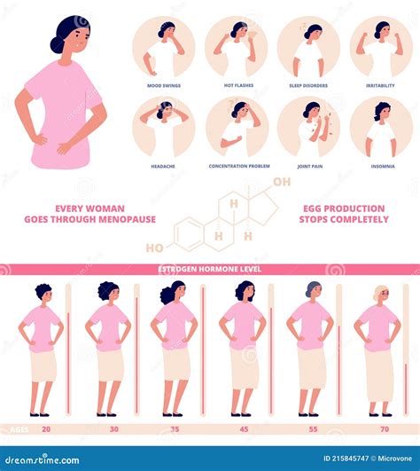 Estrogen Hormone Level. Hormones Diagram, Female Natural Biological ...