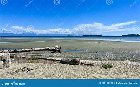 Parksville Beach Surfside Rv Resort Calm Pacific Ocean In Vancouver