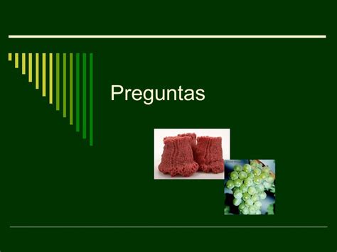 Programas De Recogido Y Retiro Fernando P Rez Mu Oz Ciencia Y