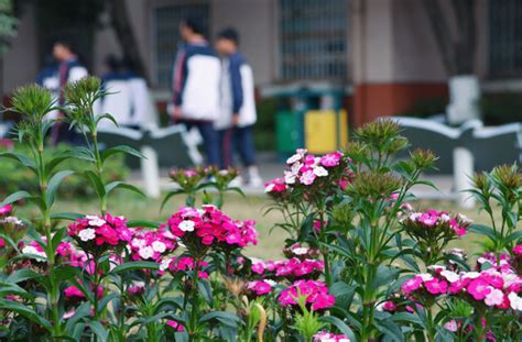 四川天府新区职业学校——用“至精”文化育“最美职校生” 知乎