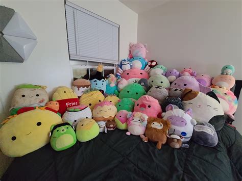 Girlfriends Squish Collection Who Would You Steal R Squishmallow