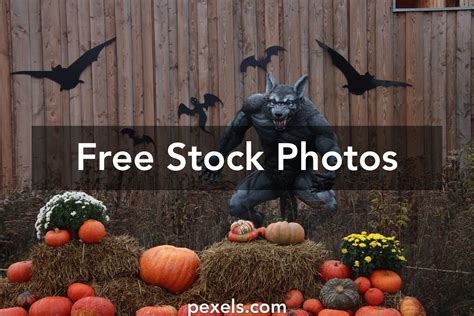 Fall Harvest Yard Background Photos Download The Best Free Fall