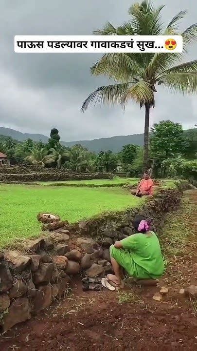 पाऊस पडल्यावर गावाकडचं सुख 😍 कोकण Village Kokan सुख Shorts Villagelife Nature