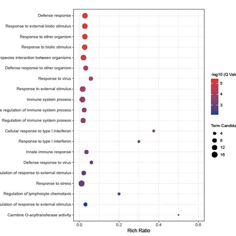 GO Enrichment Analysis Of Upregulated DEGs In The Age 11 Group