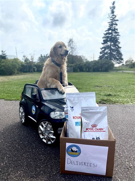 Atlantic Veterinary Hospital - Happy Veterinary Technician Week to our