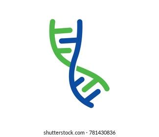 Dna Health Logo Stock Vector Royalty Free Shutterstock