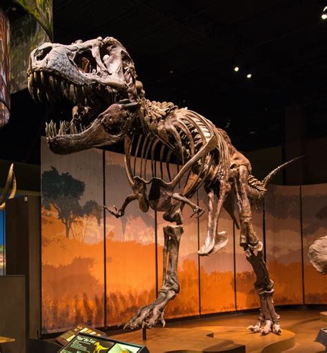 These are the 10 best science museums in the United States