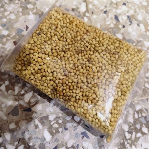 Dried Brown Whole Organic Coriander Seed At Rs 91 Packet In Nagpur ID