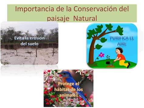 Ministerio De Educacion Proyecto Paisaje Natural De Tu Comunidad