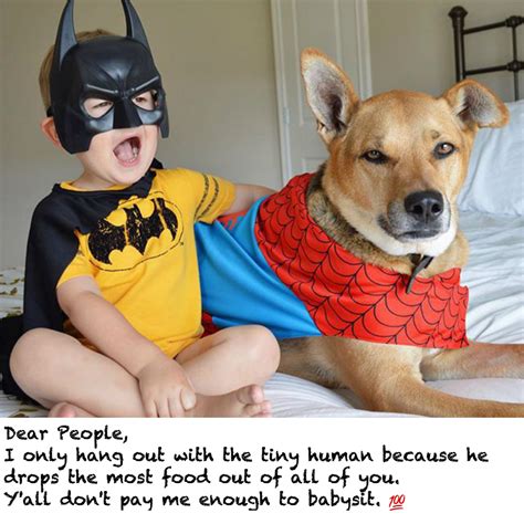 17 Hilarious Passive Aggressive Notes Dogs Would Totally Write Barkpost