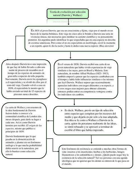 Diagrama De Flujo La Naturaleza De La Vida Teoria De Evoluci N Por