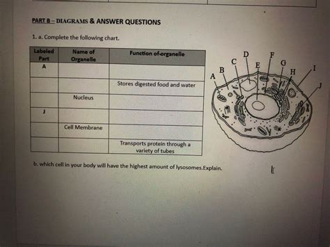 Answered Part B Diagrams And Answer Questions 1 Bartleby