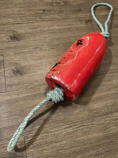 Buoy Float Lobster Crab Trap Nautical Fishing Channel Islands Santa