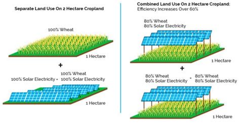 Agrivoltaic System Encyclopedia Mdpi