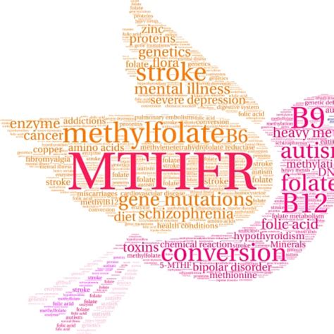 Understanding Mthfr Gene Implications Health Effects And Supplement