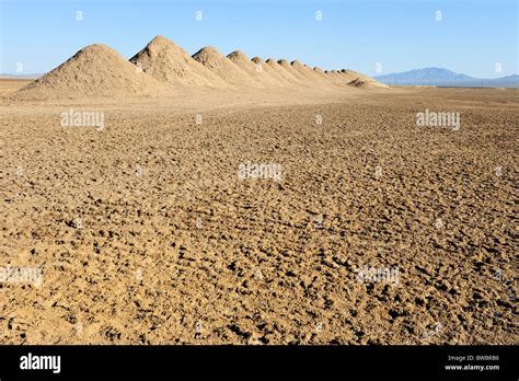 Salt flats and mounds near Amboy, California, USA Stock Photo - Alamy