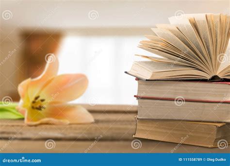 Poetry Stock Image Image Of Beautiful Flower Reading 111558789