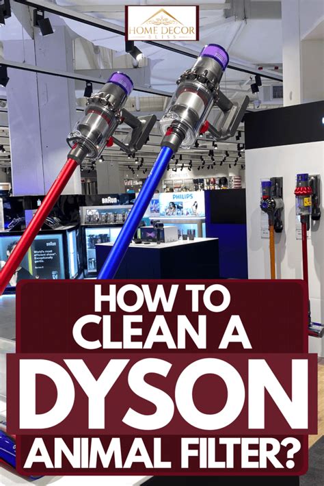 How To Clean A Dyson Animal Filter?