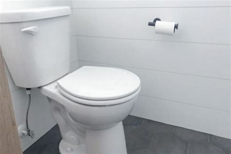 9 Different Types Of Toilet Flush Systems ToiletsGuide