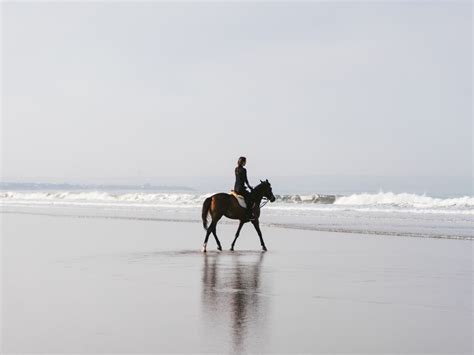 18x Wat Te Doen Op Texel Bezienswaardigheden Tips