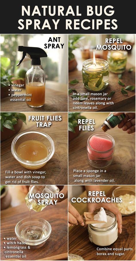 10 Diy Homemade Natural Non Toxic Insect Bug And Mosquito Repellent The Little Shine In 2024