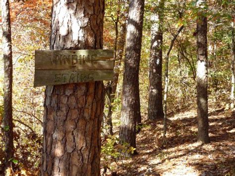 The Winding Stairs Trail Is One Of The Best Kept Secrets In Arkansas