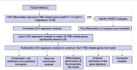 Figure 1 From Nine Gene Signature And Nomogram For Predicting Survival