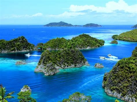 Nikmati Daya Tarik Raja Ampat Dengan Jelajahi Wisata Dan Aktivitas