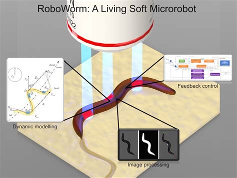 Microfluidics and BioMEMS Laboratory (MBL) 