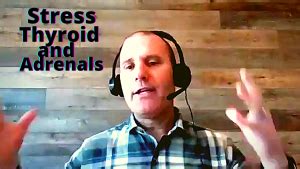 Stress The Thyroid And Adrenals Connection The Truth About Adrenal