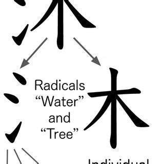 The list of radicals and kanji used in our first study. From left to ...