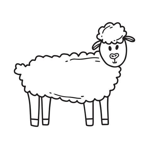 Cute Sheep Doodle Style Vector Illustration 9960274 Vector Art At