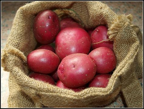 Marks Veg Plot Growing Potatoes In Containers