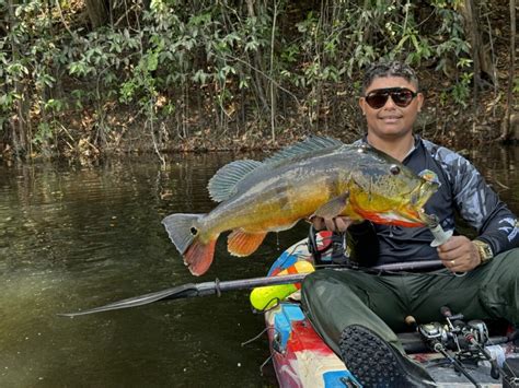 Brasileiro Caiaque Absoluto Masculino Tucunaré Açu BGFA Recordes