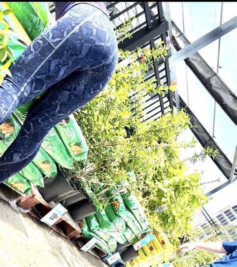 I Had An Amazing Day Bubble Butt Teen Tight Booty Milf Bubble Butt Milf PAWG Milf