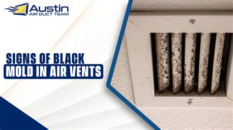 Black Mold On Ac Vents What You Need To Know