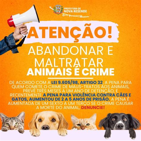 Cuidado O Abandono De Animais