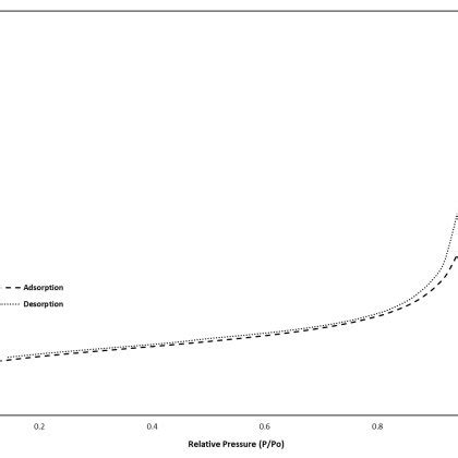 Nitrogen Physisorption Linear Isotherms Of A SiCa4P B SiCa4P3 And