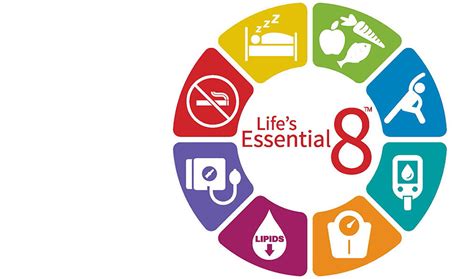 Lifes Essential 8 Target Bp