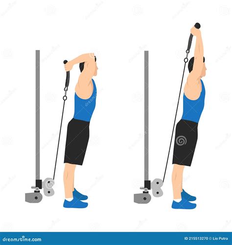 Cable Triceps Kickback Exercise Strength Workout Vector Illustration