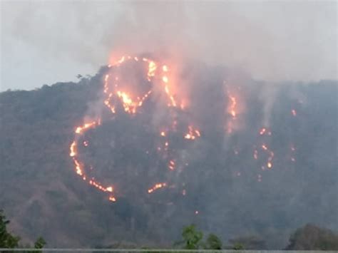 Incendios Forestales En El Tolima Han Consumido Más De 5000 Hectáreas